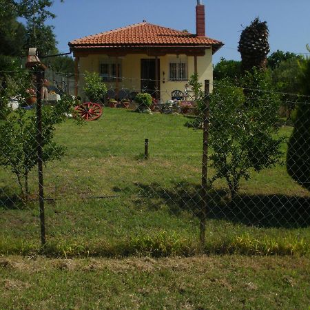 Vila Xerxis Hill/Chalkidiki Τρυπητή Χαλκιδικής Nea Roda Exteriér fotografie